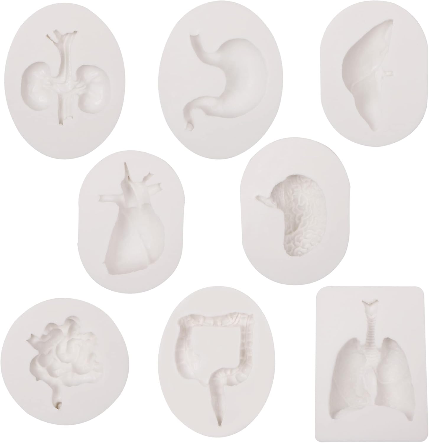 Moldes de silicona para órganos humanos, 8 unidades para Halloween, corazón, cerebro, hígado, estómago intestinal, moldes de fondant de chocolate