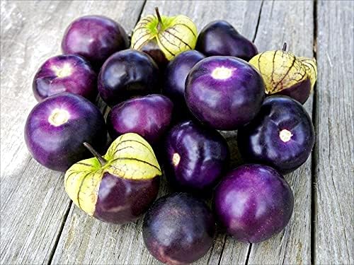 Semillas de tomatillo morado para plantar más de 50 semillas para plantar semillas de jamberry de tomate de cáscara mexicana sin OMG