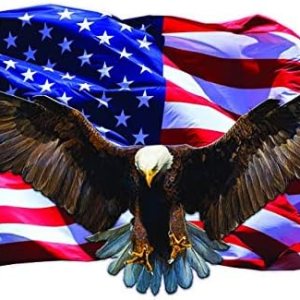 Soaring Calvo Eagle – Calcomanía de bandera americana laminada UV de 48 pulgadas Soaring Calvo Eagle – Calcomanía de bandera americana laminada UV de 48 pulgadas