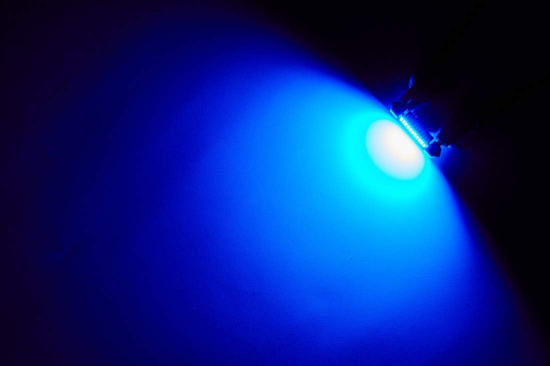 AUTOGINE – Bombillas LED Festoon