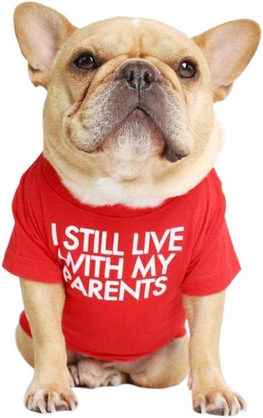 Camisa para perro de bulldog francés para mascotas, camisetas para cachorros, camiseta de gato, transpirable, elástica, disfraces, talla M