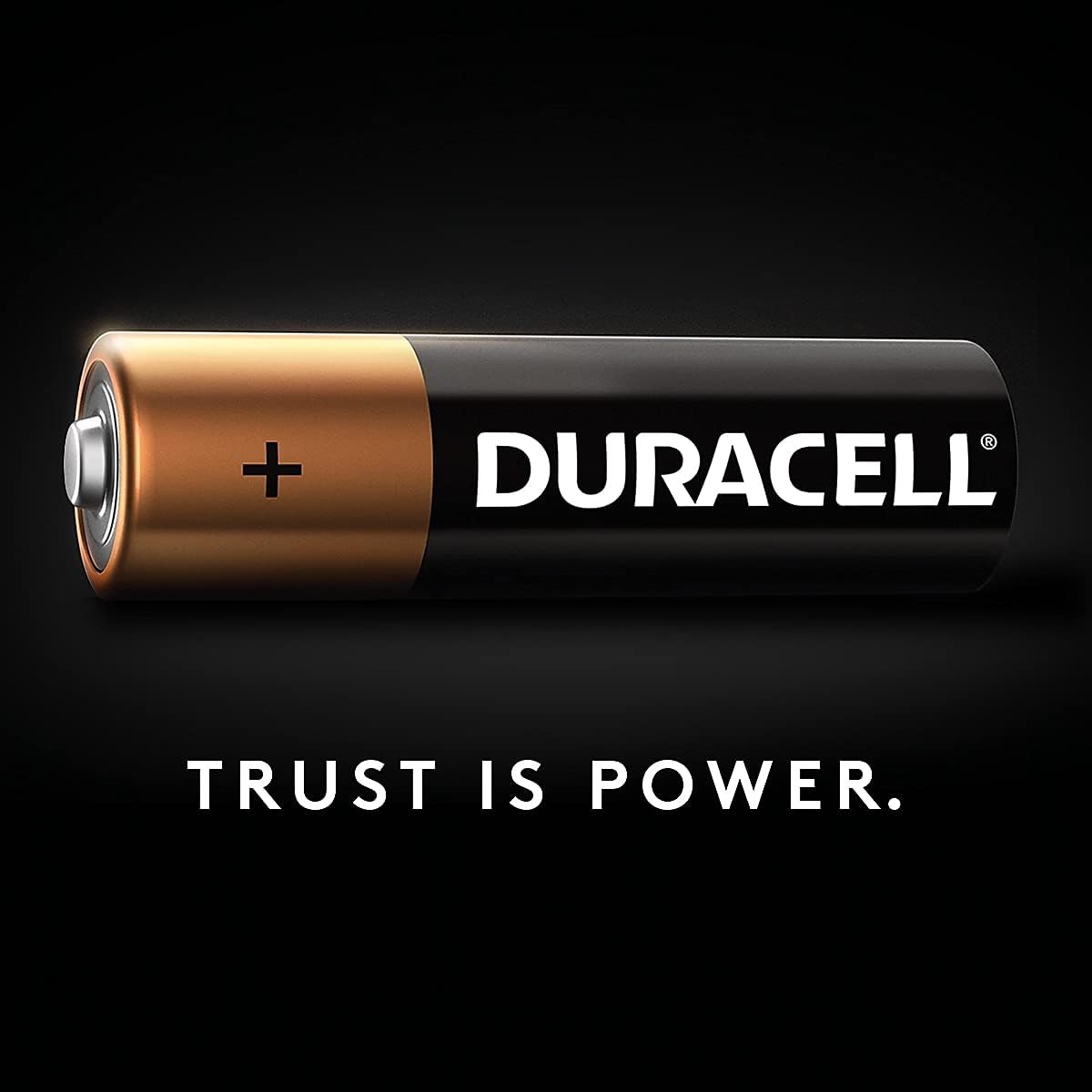 Duracell U.S.A. Mn1500b10z Baterías Aa 10Pk