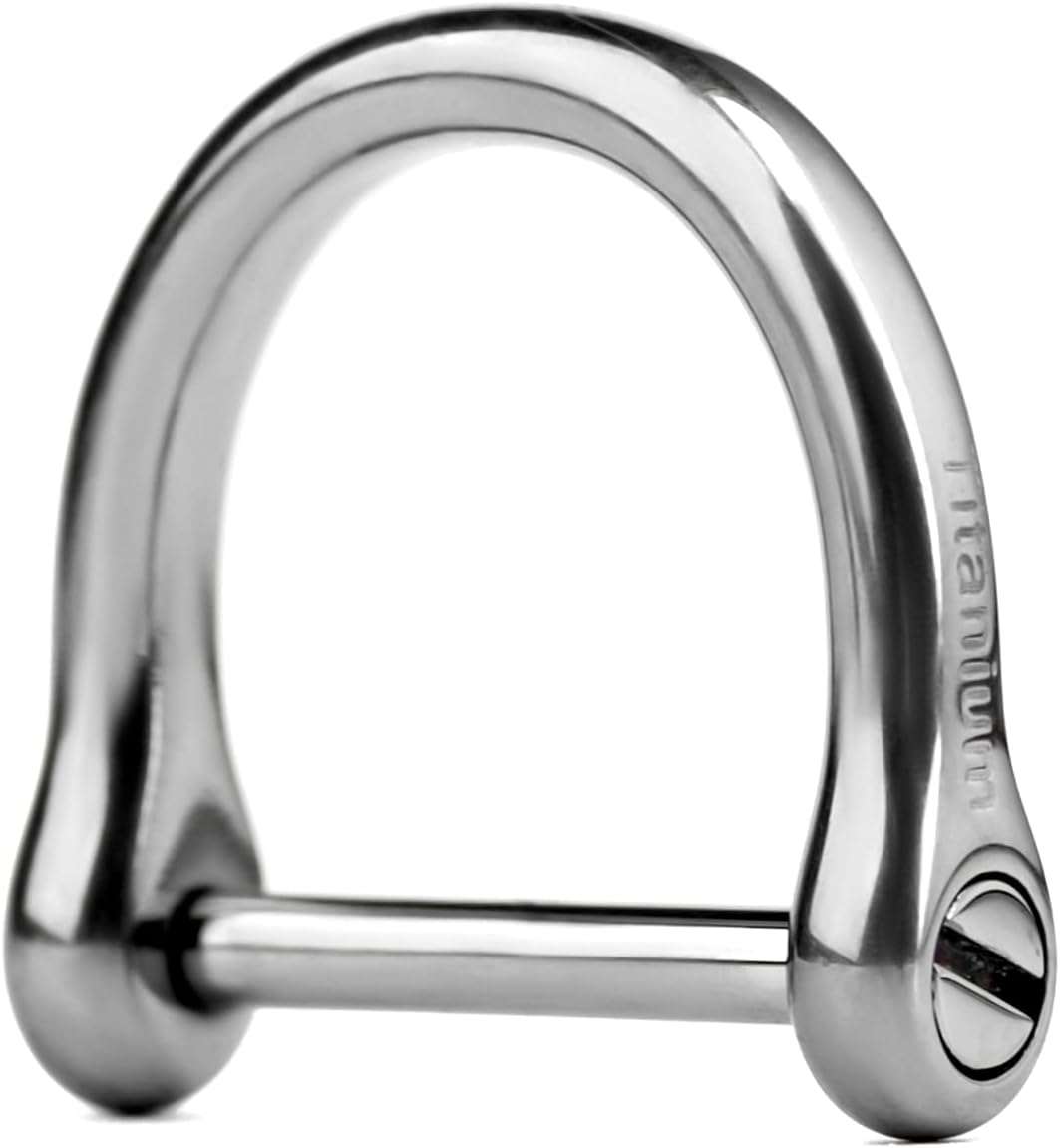 TISUR Anillos en D de titanio con grillete de tornillo, anillos de llavero en forma de D, pequeños perros y gatos anillo de correa para hacer