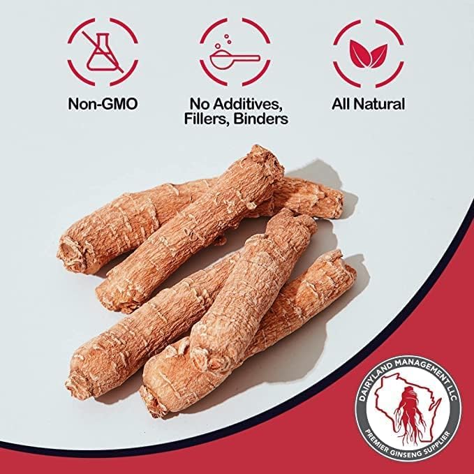 Dairyland Management Pure Panax Notoginseng Powder – 100% natural, mejora el bienestar Tienchi Powder – Ideal para batidos, tés, remedios herbales –