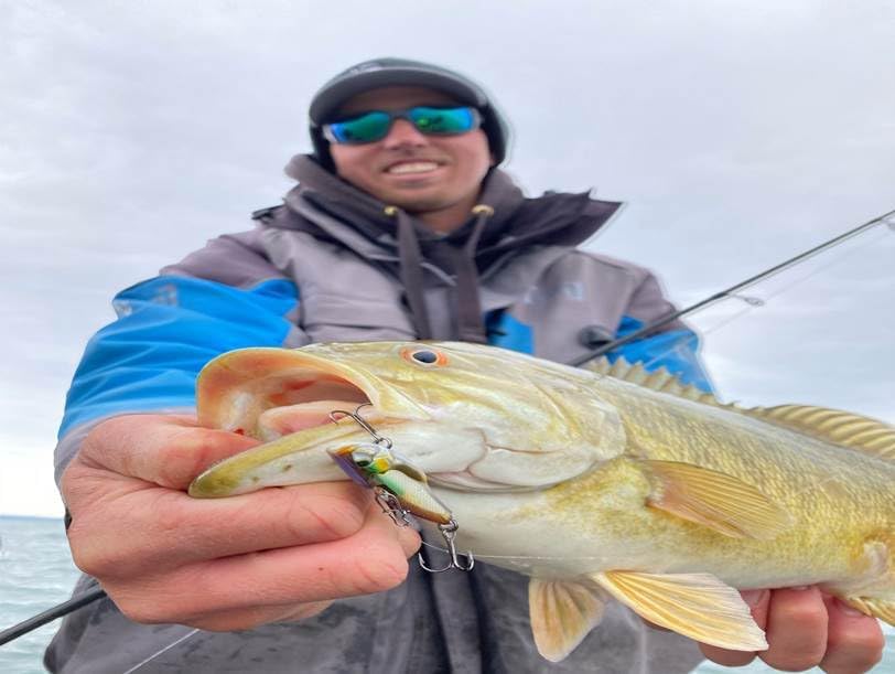 Acme V-Rod – Juego de 6 señuelos de pesca Acme de gran tamaño para lubina, trucha, lucioperca, salmón, lucio, panfish.
