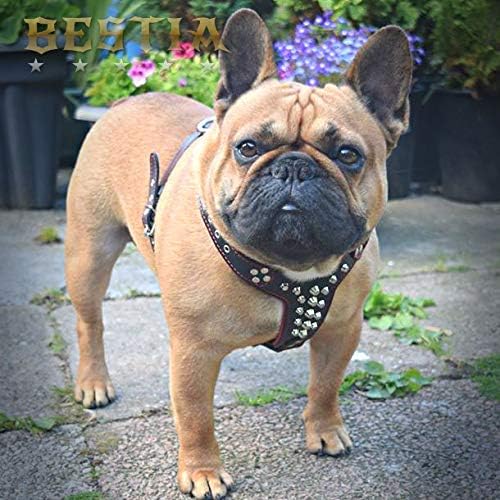 Bestia Arnés de cuero con tachuelas. Talla Bulldog Francés. 100% cuero. Hecho a mano en Europa