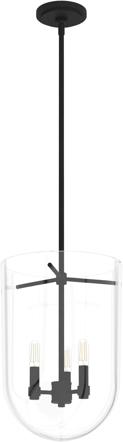Hunter Fan Company 19318 Lámpara colgante Sacha, hierro natural