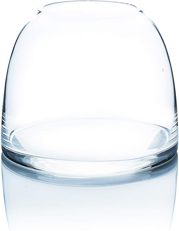 WGV – Jarrón de cúpula de 7 pulgadas de ancho, 5.7 pulgadas de alto, transparente, elegante, maceta de vidrio transparente para reunión de terrario,