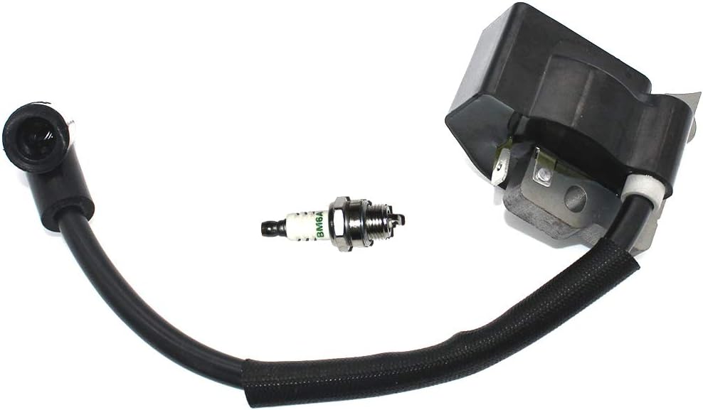 Módulo de encendido EWith Bujía BM6A para Ryobi RY09460 RY13010 RY34000 RY34420 RY34421 RY34440(S430) RY34441 RY64400 FY09440 RY34001 RY34001