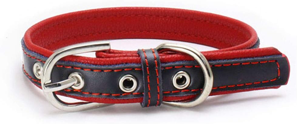 Love Dream Collar acolchado de cuero para perro, 6 colores, collares de cuero ajustable resistente para perros pequeños, medianos y grandes (XCH