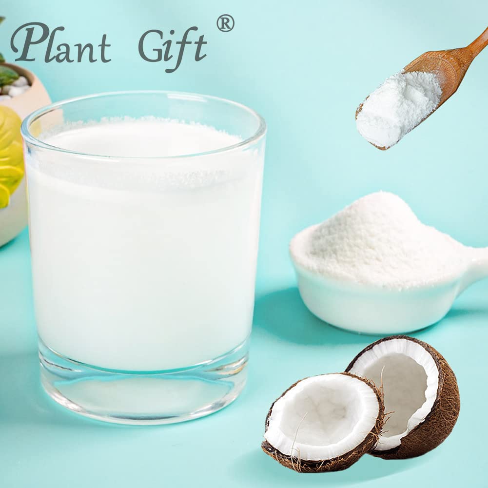 Plant Gift Polvo de coco 100% puro, polvo natural, gran sabor para bebidas, batidos, yogur, hornear, galletas, pasteles y bebidas, polvo sin OMG,