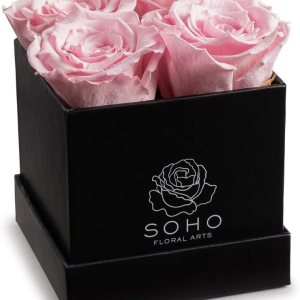 Soho Floral Arts Rosas en caja Rosas reales duran un año o más Rosas eternas en caja Flores frescas conservadas Soho Floral Arts Rosas en caja Rosas reales duran un año o más Rosas eternas en caja Flores frescas conservadas