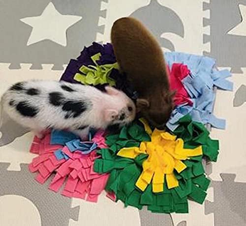AZ Micro Mini Pigs Alfombra de juego colorida para olfatear, parte trasera antideslizante, muchos lugares para ocultar golosinas, 18 x 20 pulgadas