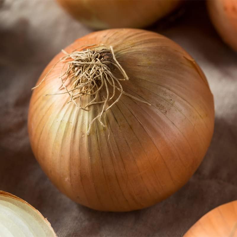 Onion-Texas Early Grano 502 (250 semillas)