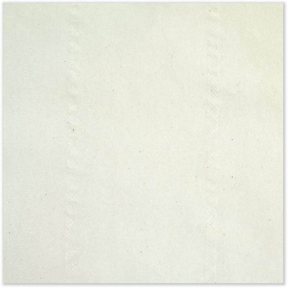 Advanced Jumbo – Papel higiénico para baño, seguro séptico, 1 capa, blanco, 3.48 pulgadas x 1200 pies, 12 rollos por caja