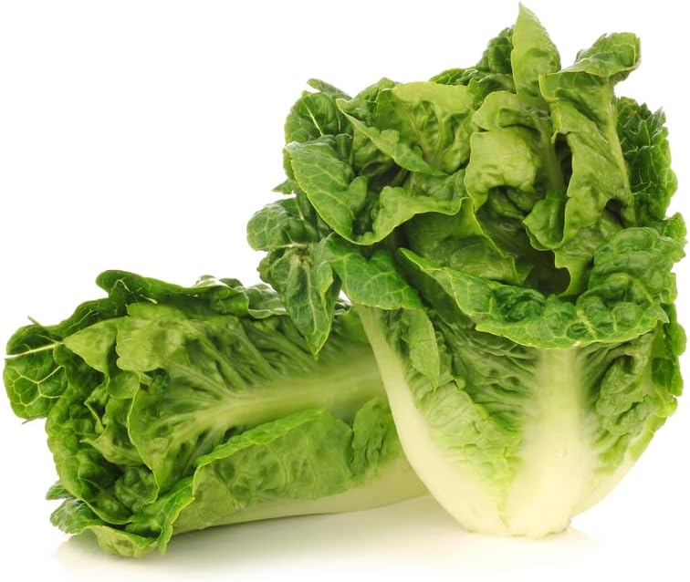 Semillas de lechuga Butterhead “Little Gem” para plantar, más de 1000 semillas de reliquia por paquete, semillas de jardín de Isla (semillas de