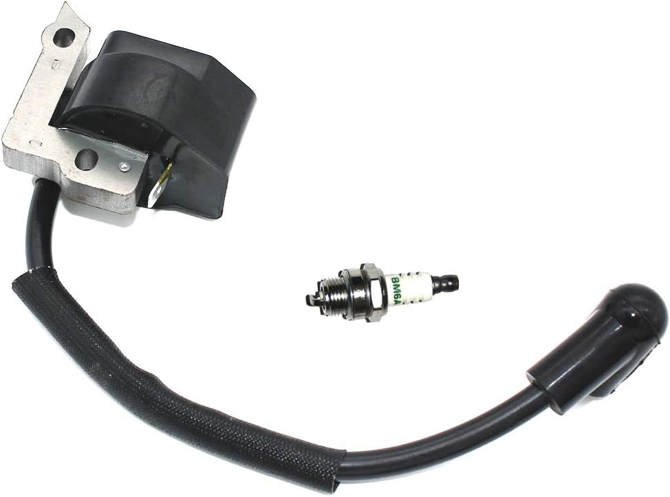 Módulo de encendido EWith Bujía BM6A para Ryobi RY09460 RY13010 RY34000 RY34420 RY34421 RY34440(S430) RY34441 RY64400 FY09440 RY34001 RY34001