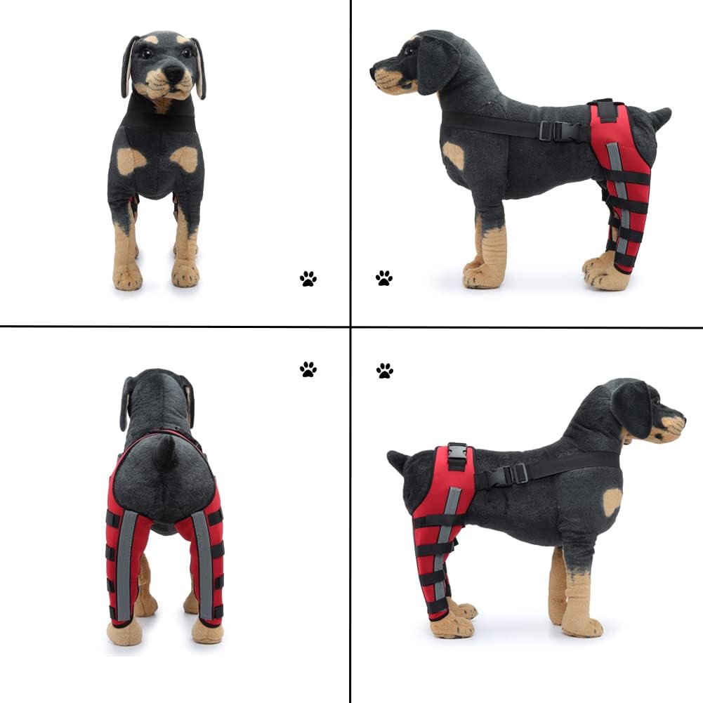 Rodillera ajustable para perro con doble pierna trasera con bisagras de metal soporte flexible y cinturones de seguridad reflectantes, soporte para