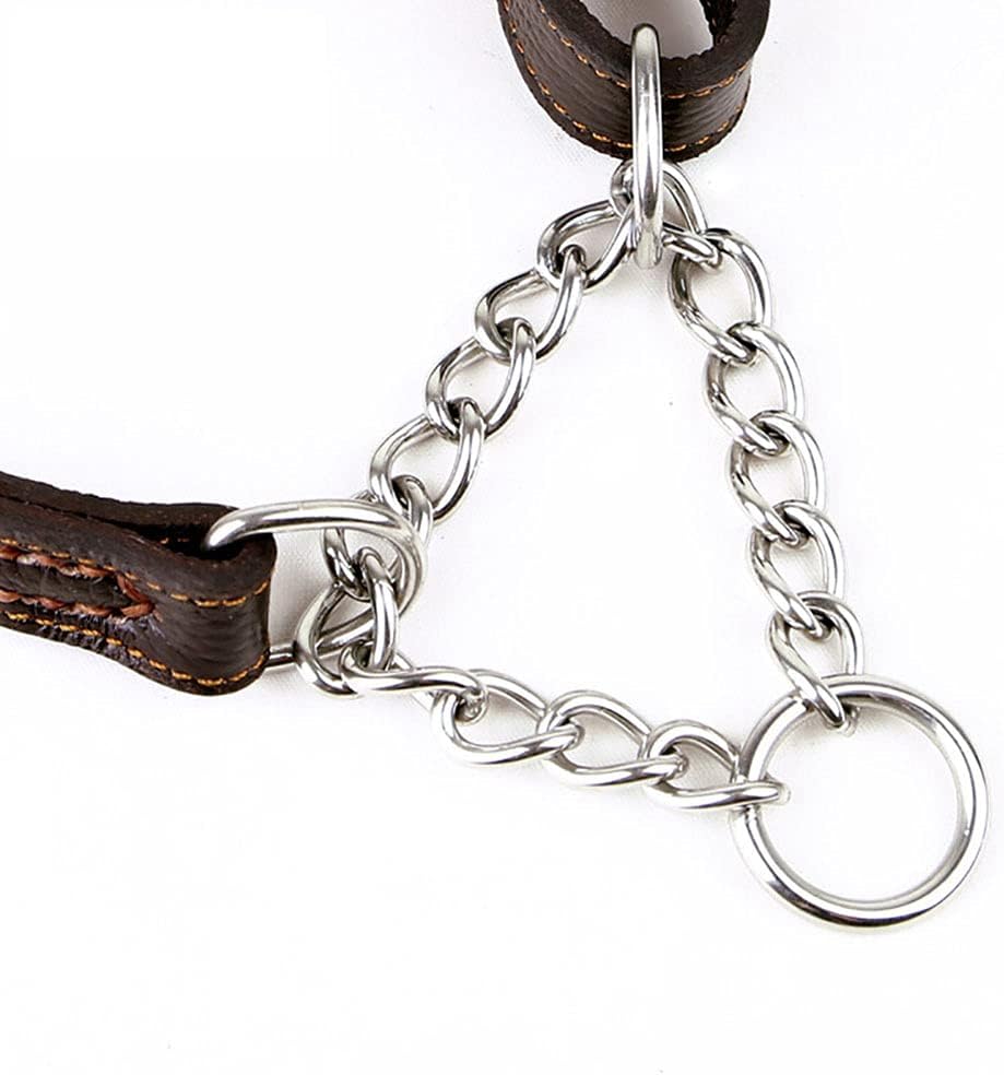 Love Dream Martingale – Collar de entrenamiento de cuero para perros, cadena de acero inoxidable antiescape, sin tirones, para perros medianos y
