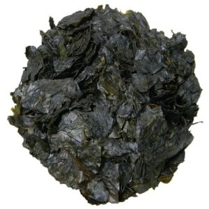 Pure Wild Ilex Pubescens (maodongqing) Hairy Holly Bitter Sweet Leaf Beauty Tea Pure Wild Ilex Pubescens (maodongqing) Hairy Holly Bitter Sweet Leaf Beauty Tea