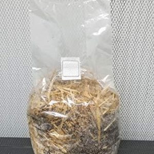 Bolsas de sustrato de paja y coco – 1 bolsa por pedido – para setas amantes de la madera – paja pasteurizadafibra de coco y otros ingredientes – Bolsas de sustrato de paja y coco – 1 bolsa por pedido – para setas amantes de la madera – paja pasteurizadafibra de coco y otros ingredientes –