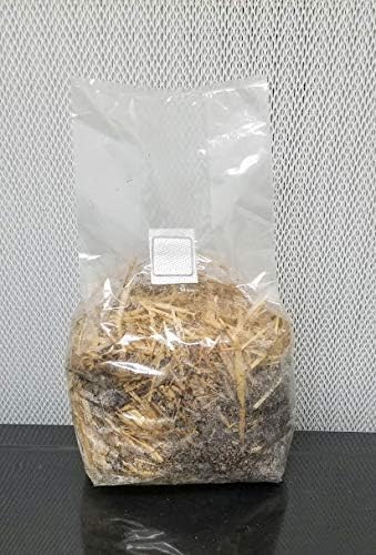 Bolsas de sustrato de paja y coco – 1 bolsa por pedido – para setas amantes de la madera – paja pasteurizadafibra de coco y otros ingredientes –