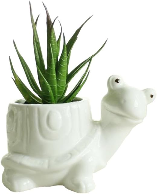 Maceta suculenta de animales para decoración de maceta para escritorio de oficina en casa (tortuga)