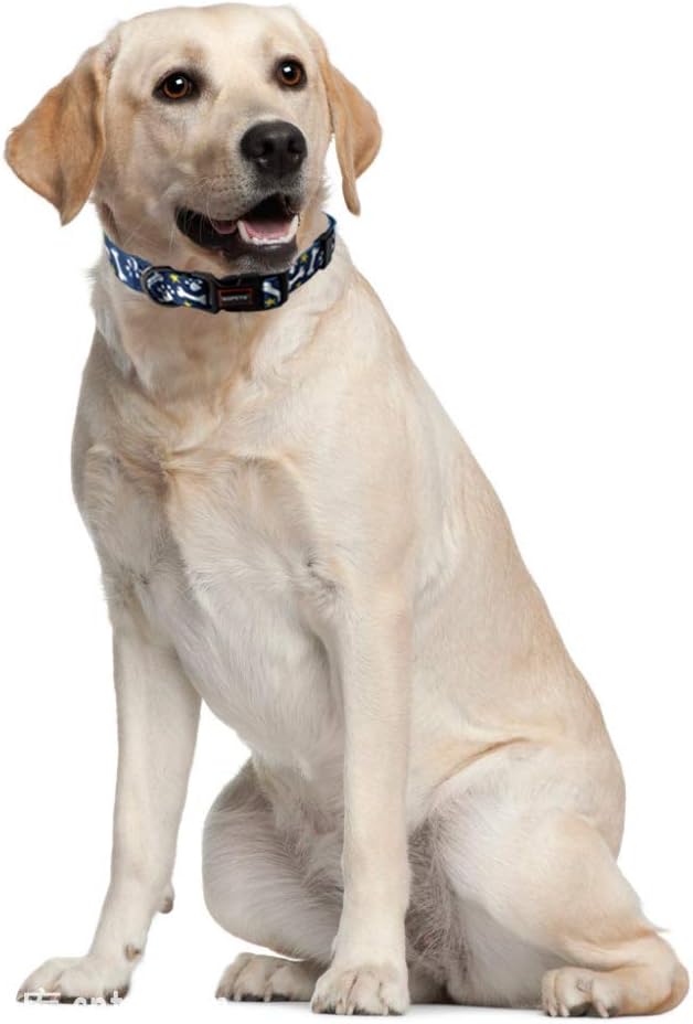 QQPETS Collar suave ajustable para perro Estampado de flores rosadas, multicolor, lindos patrones para especies pequeñas, talla XS, especies