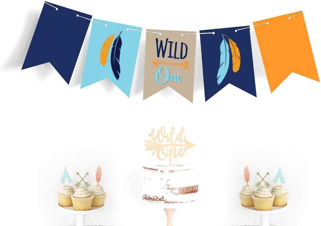 Boston Creative Company Cartel Wild One  One Banner  Cartel para silla de alta  Cartel de plumas  Cartel tribal para baby shower  Decoración de