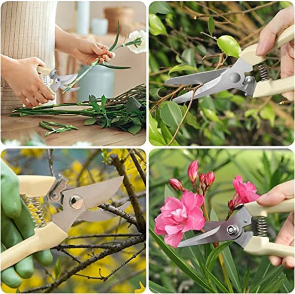 Tijeras de jardín, tijeras de podar, herramientas de jardinería, tijeras de flores de jardín, recolección de bonsáis y frutas, tijeras de recorte