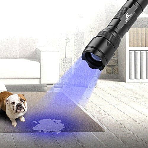Linterna de luz negra de 365 nm, linterna UV de alta potencia, linterna de luz negra UV para curar pegamento UV, detector de fugas, manchas de orina