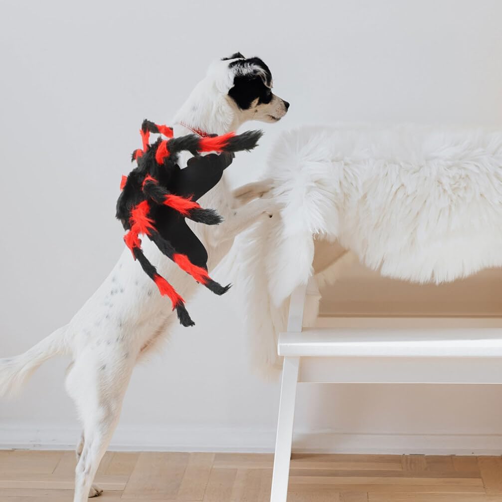 Ipetboom Disfraces de Halloween para mascotas, disfraz de araña, lindo perro, gato, araña, cosplay, disfraces divertidos, ropa para vacaciones,