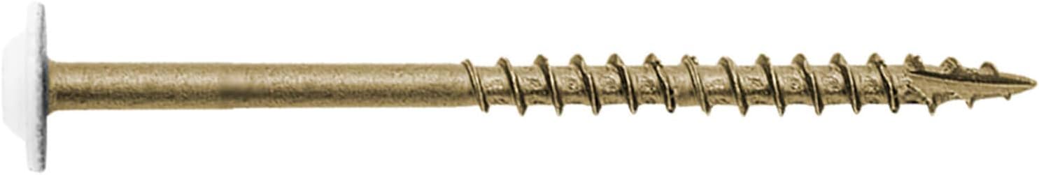 #8 x 2-12″ Cabeza de armadura blanca modificada con revestimiento exterior de estrella de bronce  Tornillo de madera de gabinete Torxcabeza de