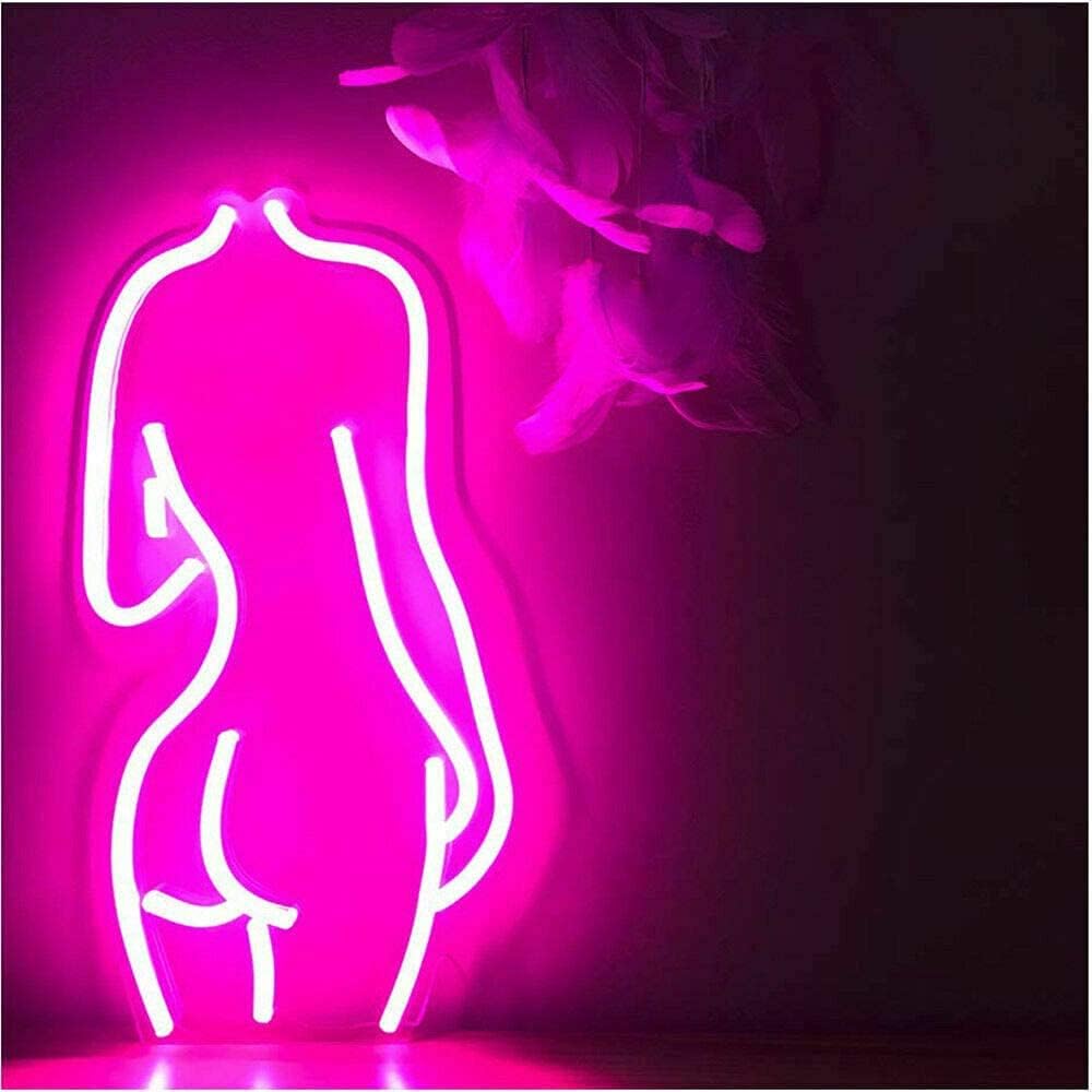 GUPUP Tira de luces de neón con kit de fuente de alimentación y adaptador de cargador de luces LED, tira de luces LED de 16.4 pies para dormitorio y