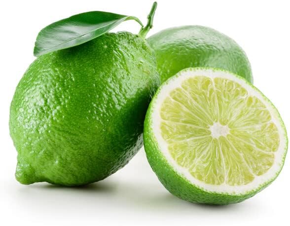 ‘s Premium Lime Soil Mix – Ideal para macetas, plantar y trasplantar tus árboles de cítricos bolsa de 1 cuarto de galón