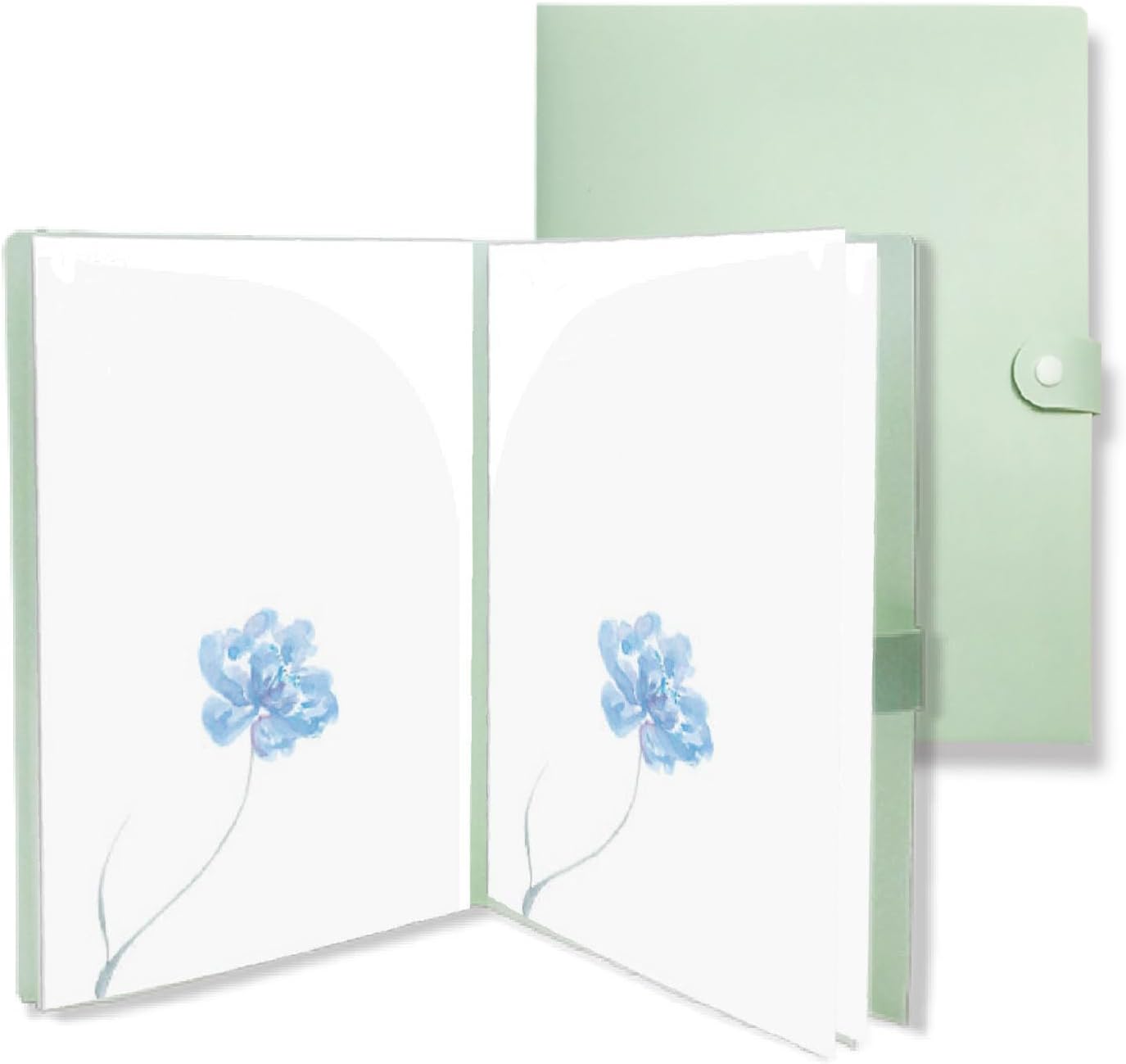 Carpeta de archivos de 10 bolsillos  Carpeta organizadora visual de documentos para el hogar, la oficina y los viajes  Material de polipropileno de