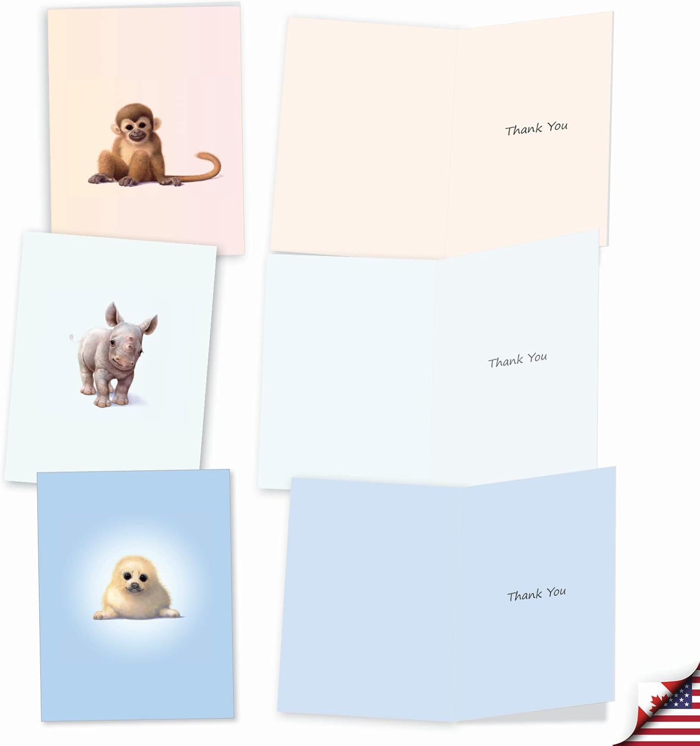 The Best Card Company, Zoo Babies – 10 tarjetas de agradecimiento en caja (4 x 5.12 pulgadas) – Animal Baby Thank Yous con sobres M6726TYG
