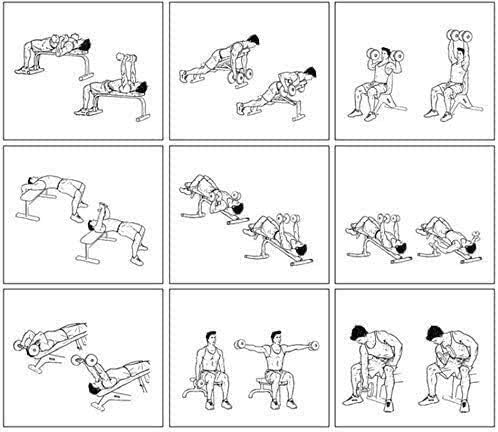 Banco de pesas ajustable para gimnasio, banco de pesas con mancuernas ajustables, silla de fitness plegable, banco ajustable con mancuernas, banco