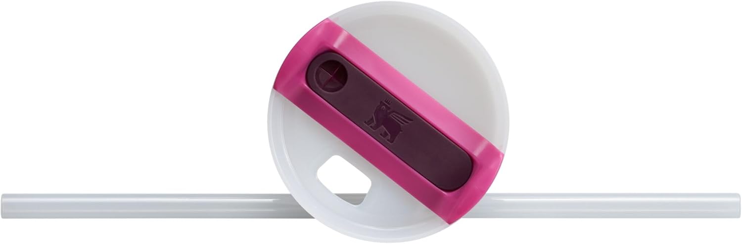 Stanley Quencher H2.0 FlowState – Vaso aislado al vacío de acero inoxidable con tapa y popote para agua, té helado o café