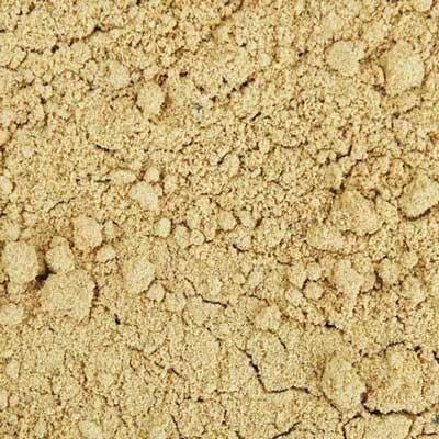 Indus Organics Polvo de semillas de cilantro, bolsa de 1 libra, grado premium, alta pureza, recién empaquetadas