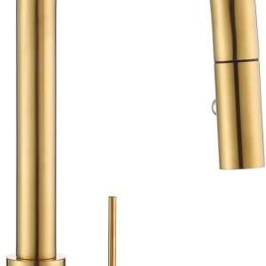 AS60BG Grifo de fregadero de cocina dorado cepillado con pulverizador desplegable de una sola manija AS60BG Grifo de fregadero de cocina dorado cepillado con pulverizador desplegable de una sola manija