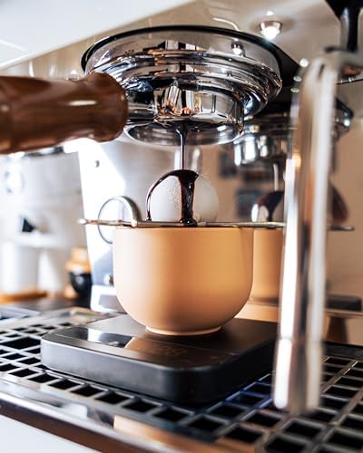 Coffee Alive Herramienta de blanqueamiento de acero inoxidable de 1.575 in mejore el sabor de su café con esta herramienta simple y efectiva