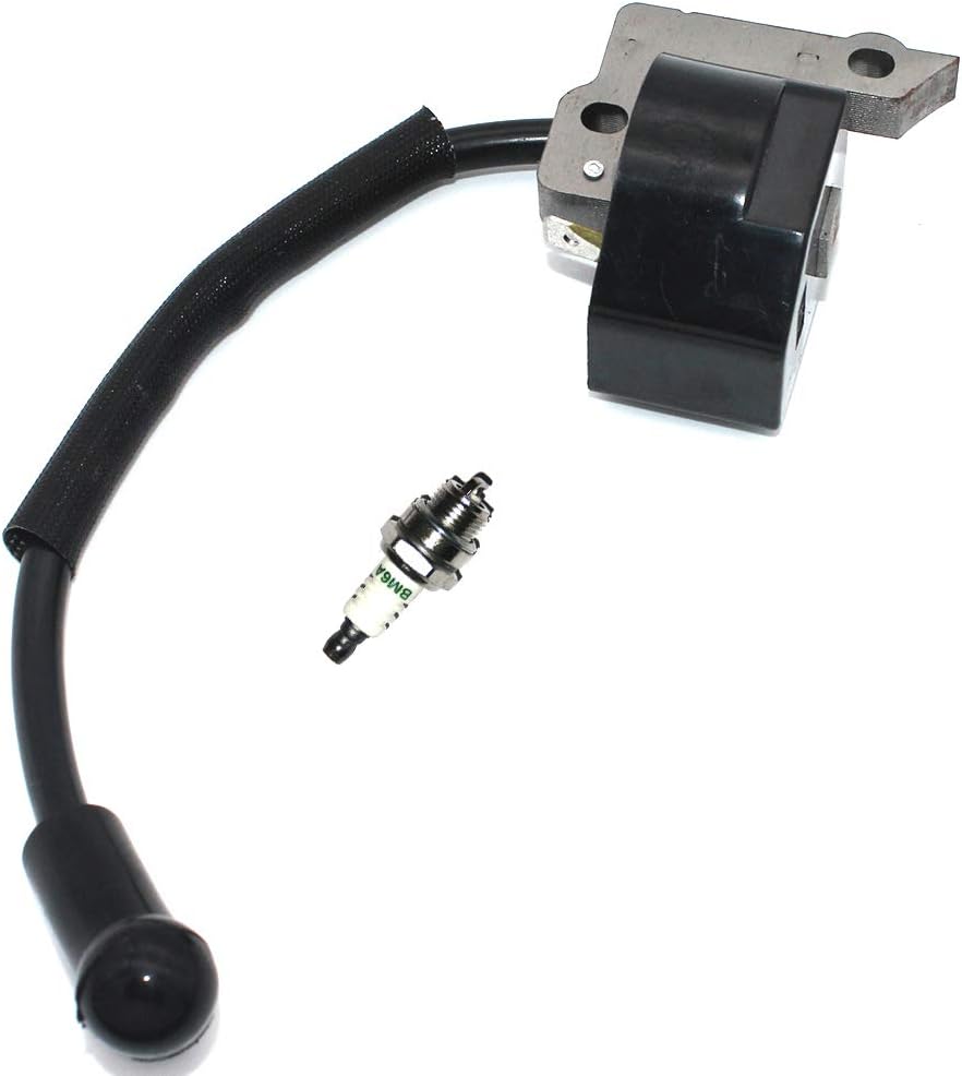 Módulo de encendido EWith Bujía BM6A para Ryobi RY09460 RY13010 RY34000 RY34420 RY34421 RY34440(S430) RY34441 RY64400 FY09440 RY34001 RY34001