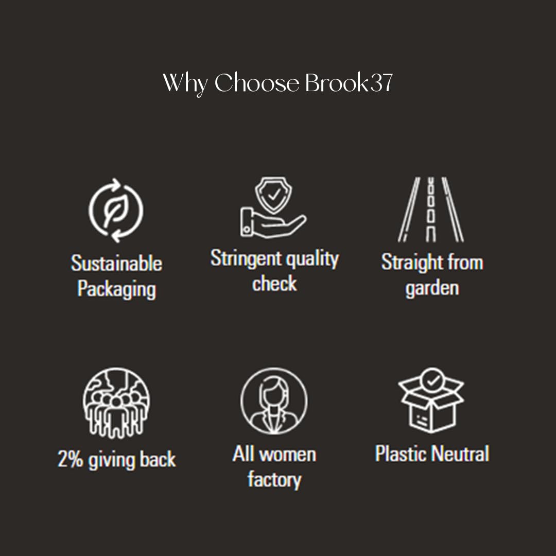 Brook37 Broadway’s Cleopatra – Té verde Darjeeling de primera calidad  Bajo en cafeína  Sabor suave y dulce como aceituna picante  20 bolsas