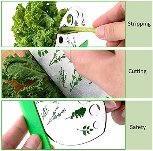 Green – Pelador de hierbas de acero inoxidable con 9 agujeros, para cocina, para hierbas, pelador de hierbas de metal para col rizada, col, tomillo,