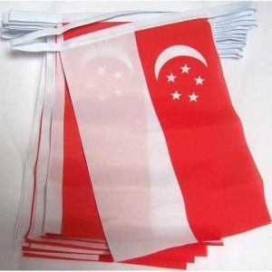 Bandera de Singapur, 19.7ft, 20 banderas de Singapur, 5.9 x 8.3in Bandera de Singapur, 19.7ft, 20 banderas de Singapur, 5.9 x 8.3in