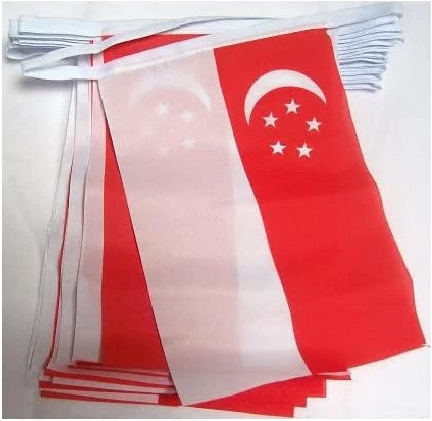 Bandera de Singapur, 19.7ft, 20 banderas de Singapur, 5.9 x 8.3in