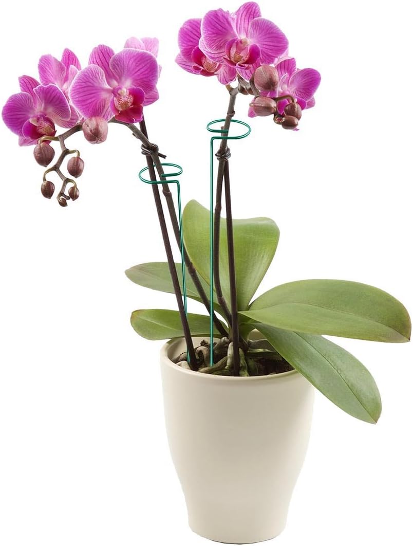 MTB Green – Juego de 20 estacas de soporte para plantas de un solo tallo de 18 pulgadas, paquete de 20 estacas de soporte para plantas, aros de