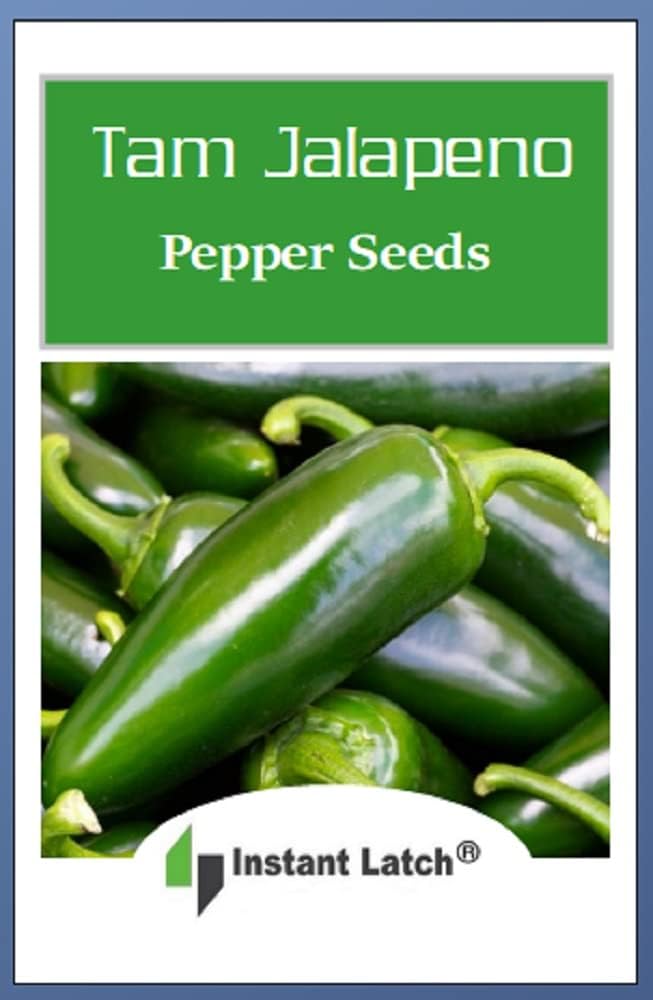 100 semillas de pimienta jalapeño Tam  Sin OMG  Semillas frescas de jardín