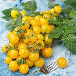 Park Seed Lemon Drop – Semillas de tomate cereza híbridas F1 mejoradas, amarillo brillante y dulce, paquete de 30 semillas Park Seed Lemon Drop – Semillas de tomate cereza híbridas F1 mejoradas, amarillo brillante y dulce, paquete de 30 semillas
